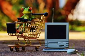 rana con carrello e pc
