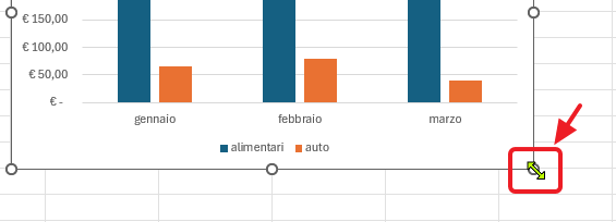 dimensionare il grafico