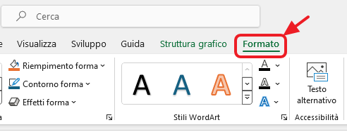 scheda formato