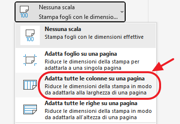 adatta tutte le colonne su una pagina
