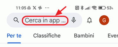 casella di ricerca di play store