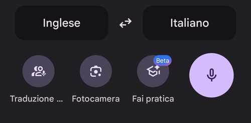 modalità traduzione e fotocamera