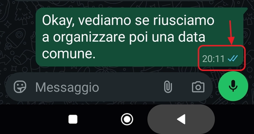 dettaglio una e due spunte