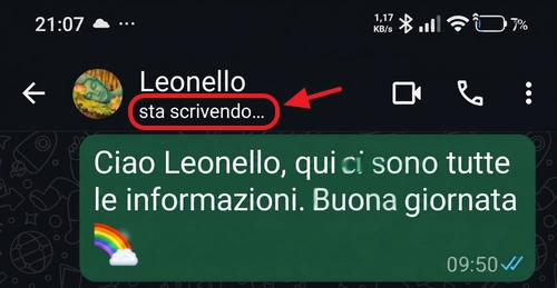 online e sta scrivendo