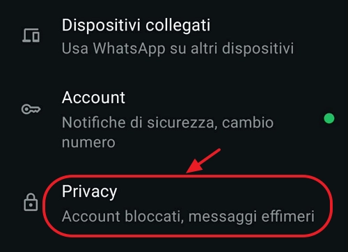privacy