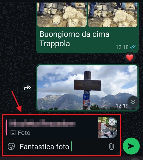messaggio citato