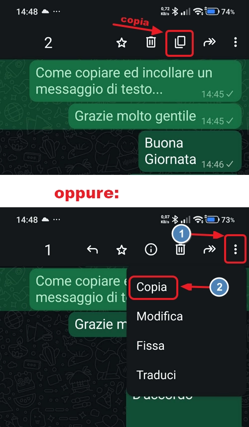 copia messaggio
