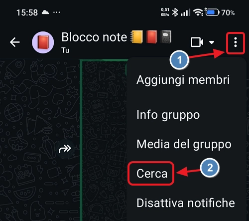 cerca in chat