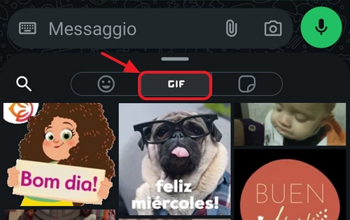 cerca GIF