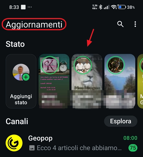 vedere stato