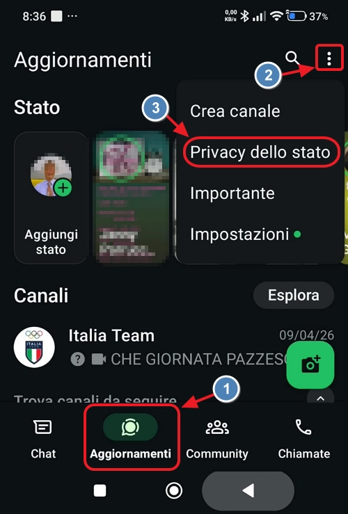 privacy stato