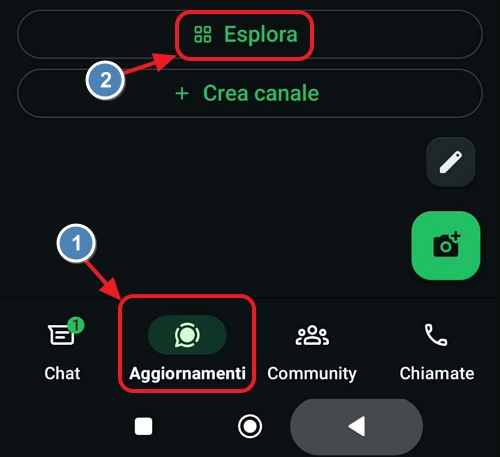 canali WhatsApp