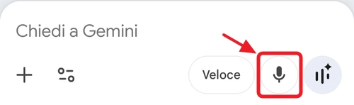 Menu Gemini Microfono