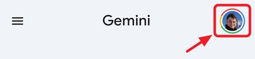 Impostazioni di Gemini