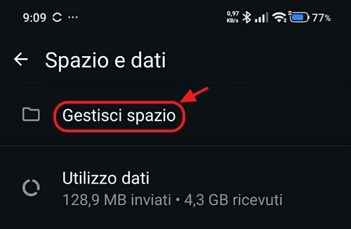Schermata Gestisci spazio di WhatsApp