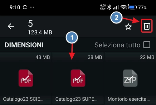Eliminare i file pesanti di WhatsApp con il Cestino