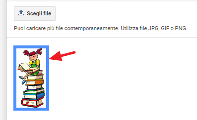 immagine selezionata con un clic