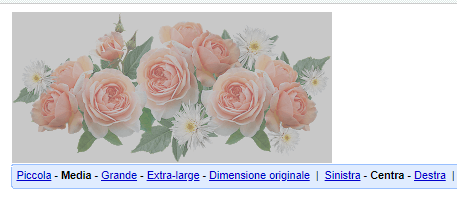 menu impostazioni immagine