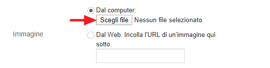 gpulsante scegli file