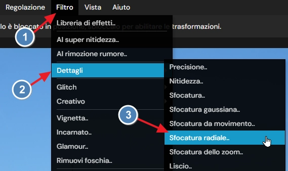 menu filter details zoom blur pixlr editor