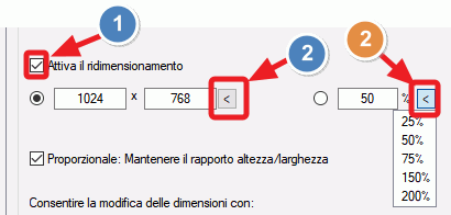 dimensioni dell'immagine
