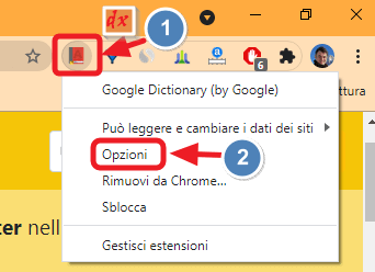 opzioni del dizionario di google