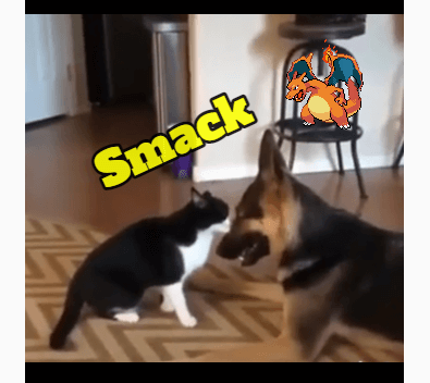 gif completata
