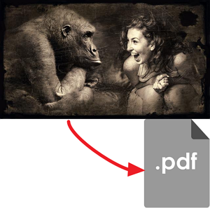 immagine in pdf