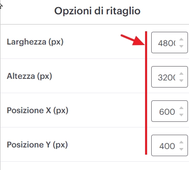 campi larghezza altezza posizione x y in pixel