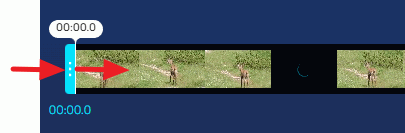 tagliare video iniziale