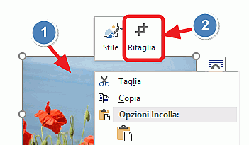 ritagliare immagine