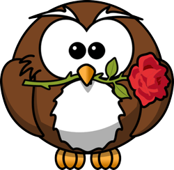 gufo con rosa